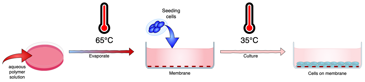 Bioicons can be used to create a wide range of illustrations with draw.io