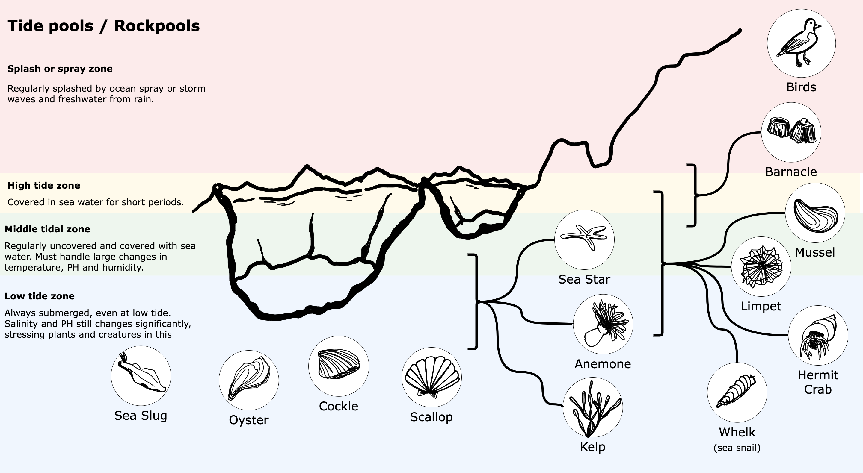 An infographic created in draw.io composed mostly of freehand shapes