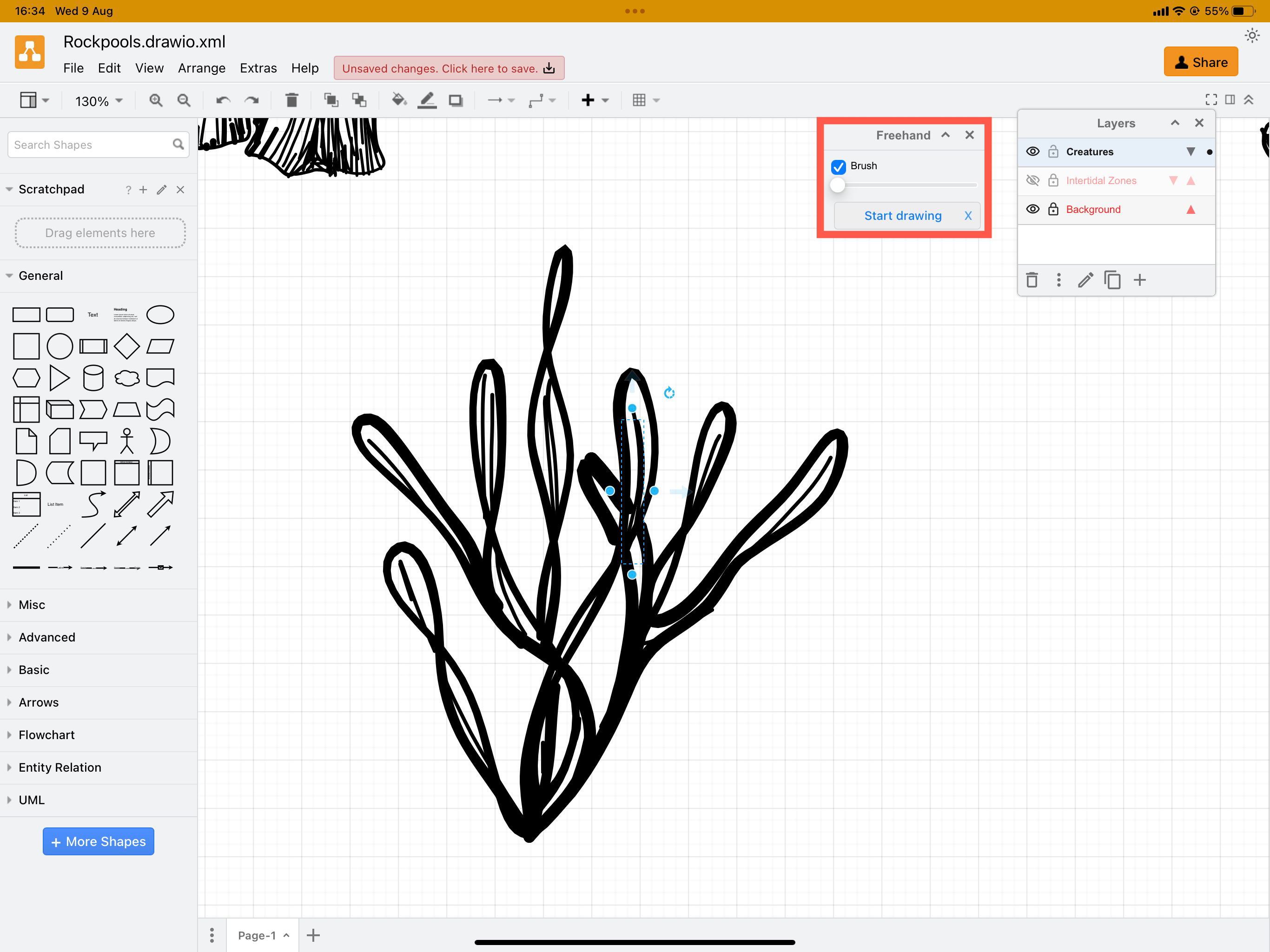 A freehand drawing of some seaweed for an infographic in draw.io