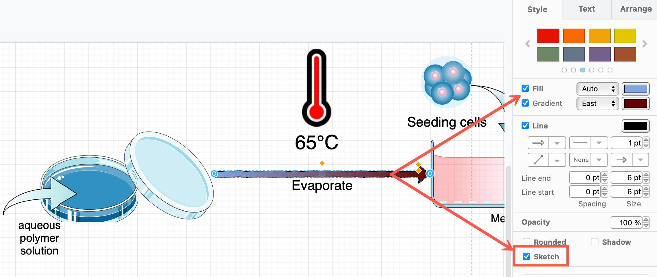 Style your diagram to match the Bioicons you have used and to add clear visual explanations