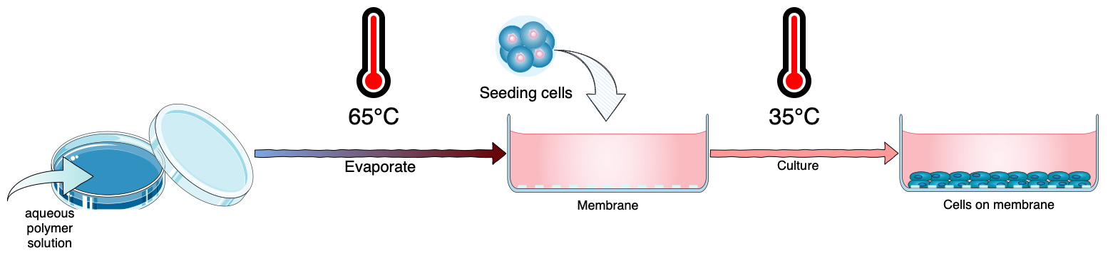 Bioicons can be used to create a wide range of illustrations with draw.io