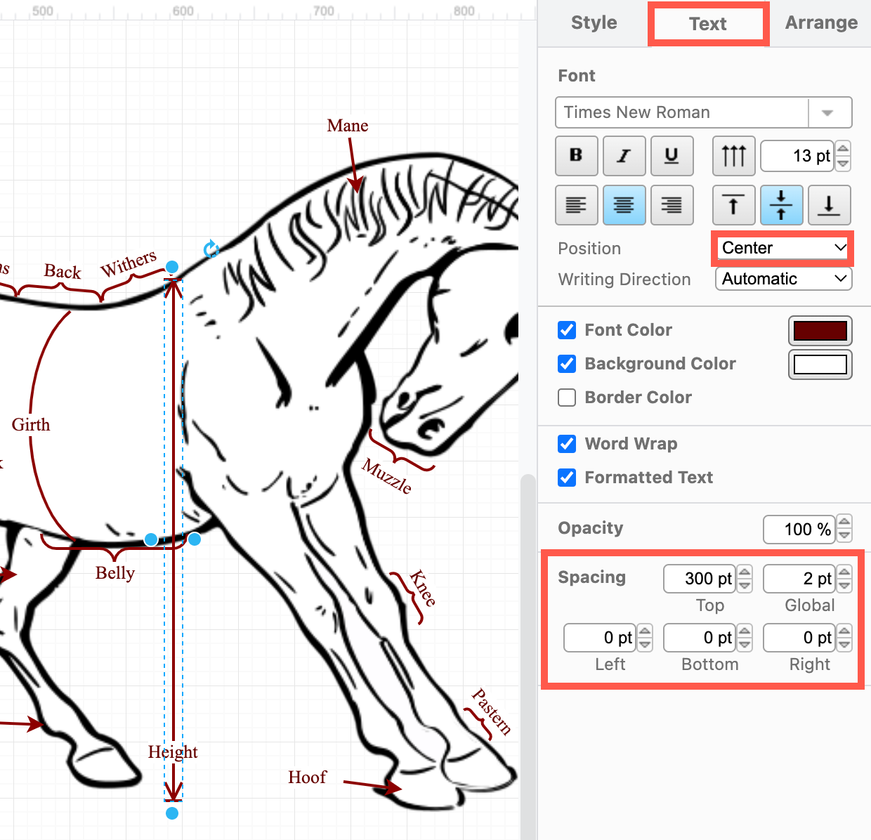 Change the position of the label text relative to the shape itself in the Text tab of the format panel