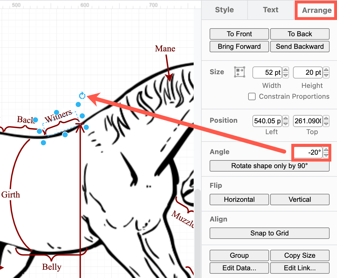 Drag the rotate handle on the shape or change the Angle in the Arrange tab of the format panel