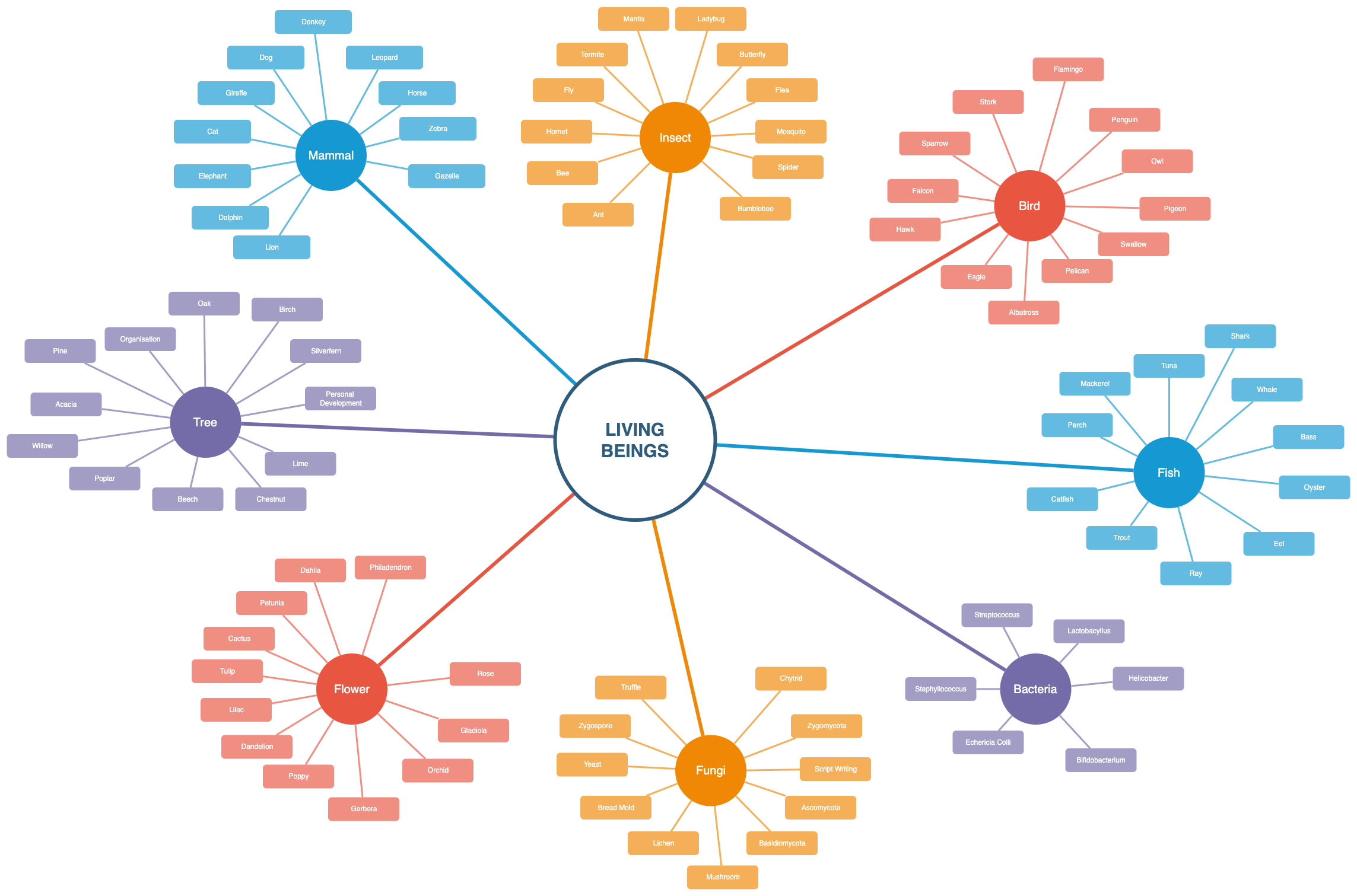 Mindmap of living beings - a template in draw.io